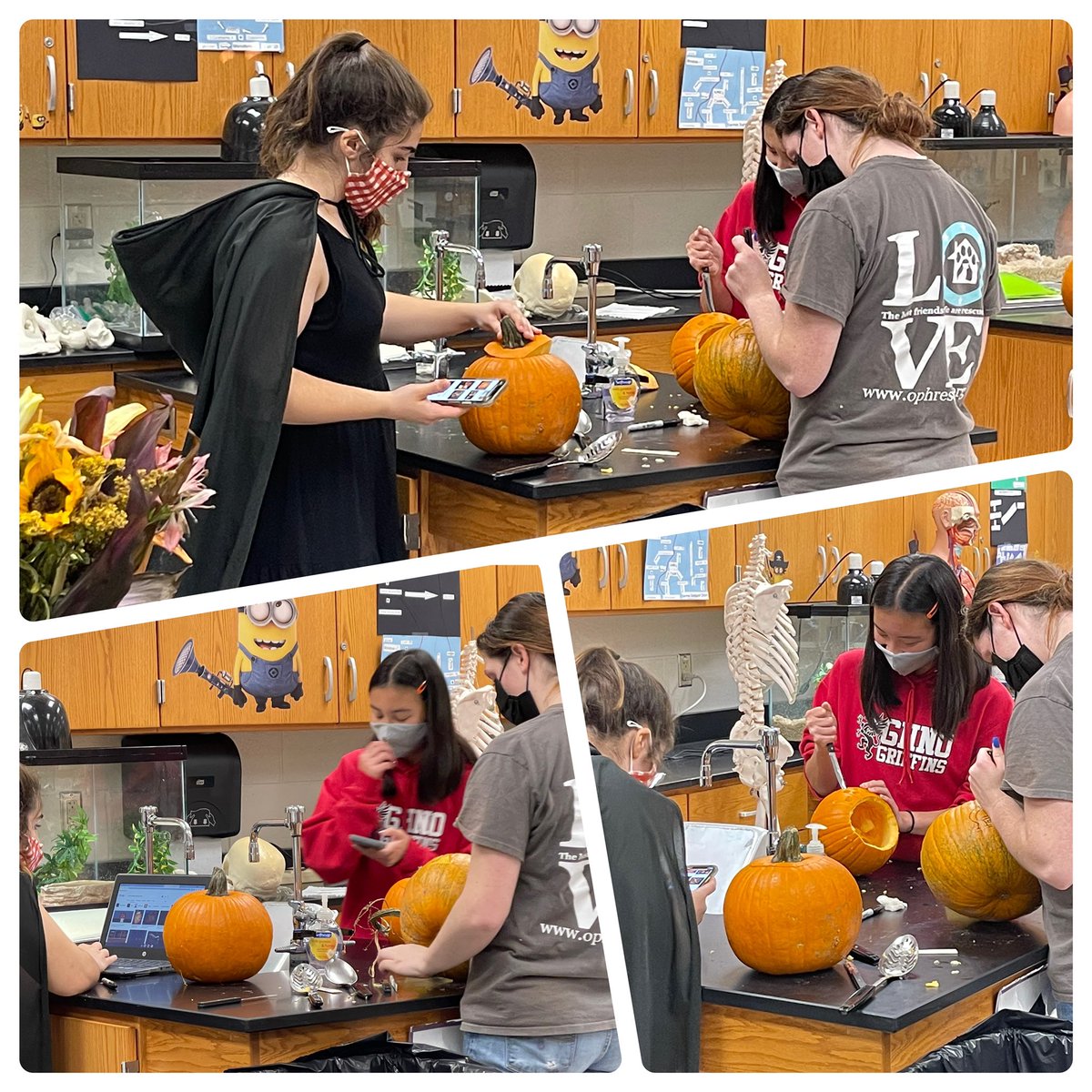 lmhbioteach's tweet photo. #seniorskipday #apbioclass #theirturn #threeagain #pumpkinsofscience #sciencejackolantern #Beaker #metaphase #microscope @krcougars https://t.co/J9D33uEEhR