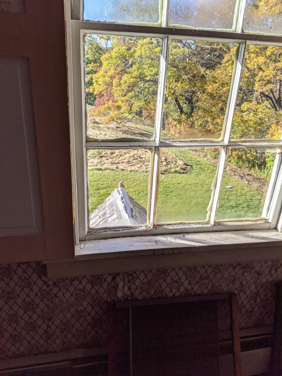 Scot McFarlane tweet media