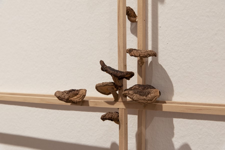 ARTISHOCK tweet media