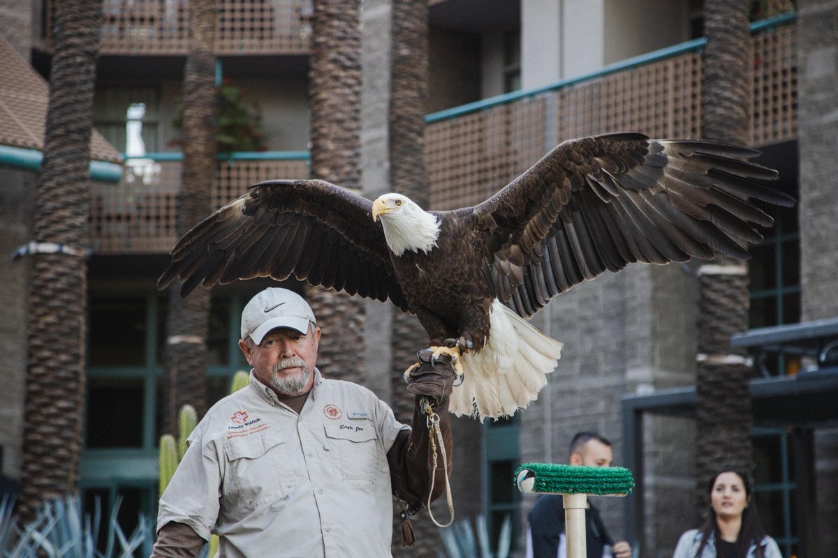 Don't miss the fan favorite Birds of Prey, with our resident "Birdman Joe". Today at 4:00pm in the lower lobby. He'll show off his feathery friends and share their rescue stories. 
📸: @carsonburkee @dbauermedia