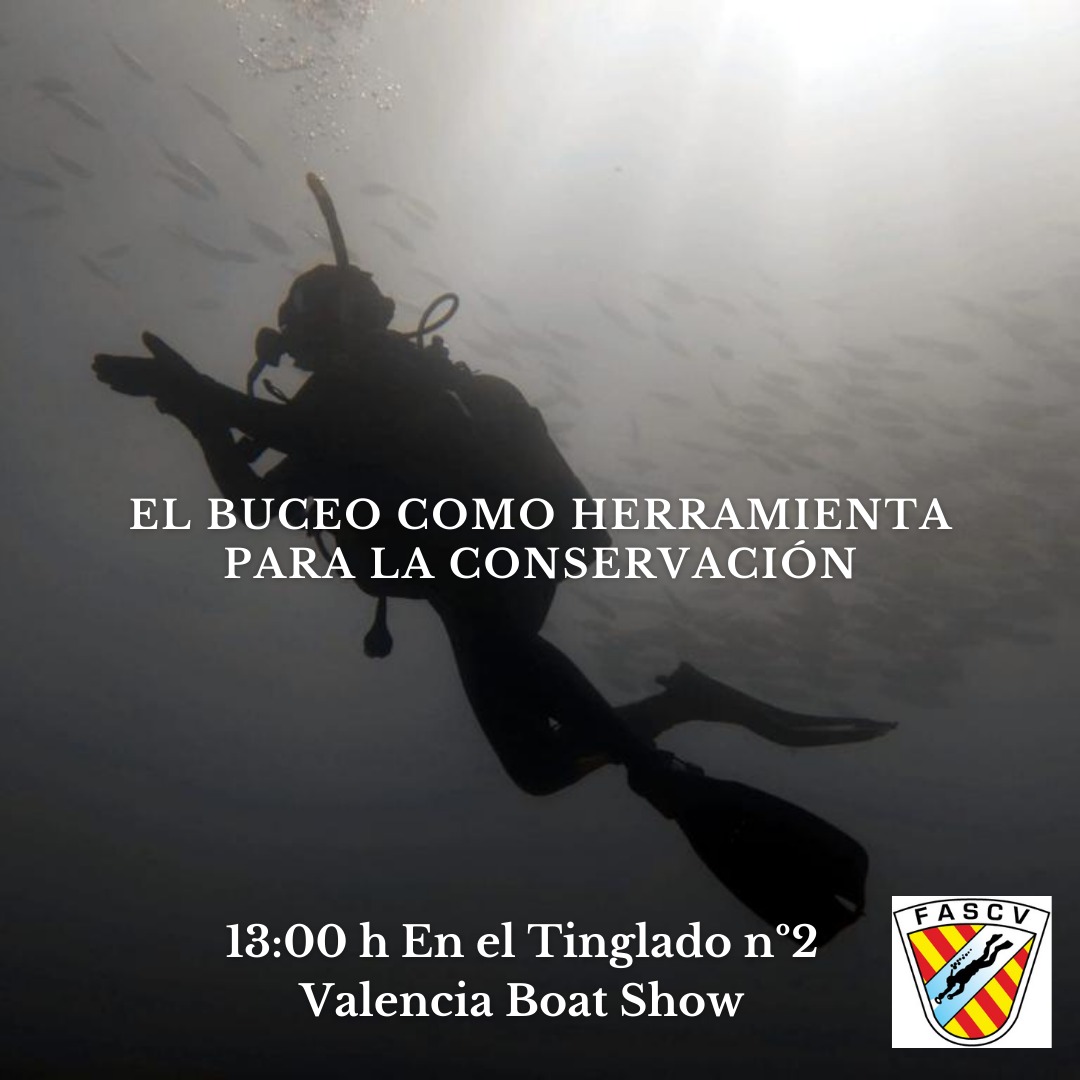 FEDASValencia's tweet photo. 31 de octubre en el Tinglado n°2 #ValenciaBoatShow de 13h a 14h os invitamos a asistir a la charla FEDAS sobre "El buceo como herramienta de la conservación" por Estíbaliz Parras (Veterinaria especializada en Fauna Marina, Buceadora Profesional e Instructora #FEDAS)
#FASCV https://t.co/SpVq1nXiO9