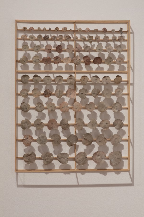 ARTISHOCK tweet media