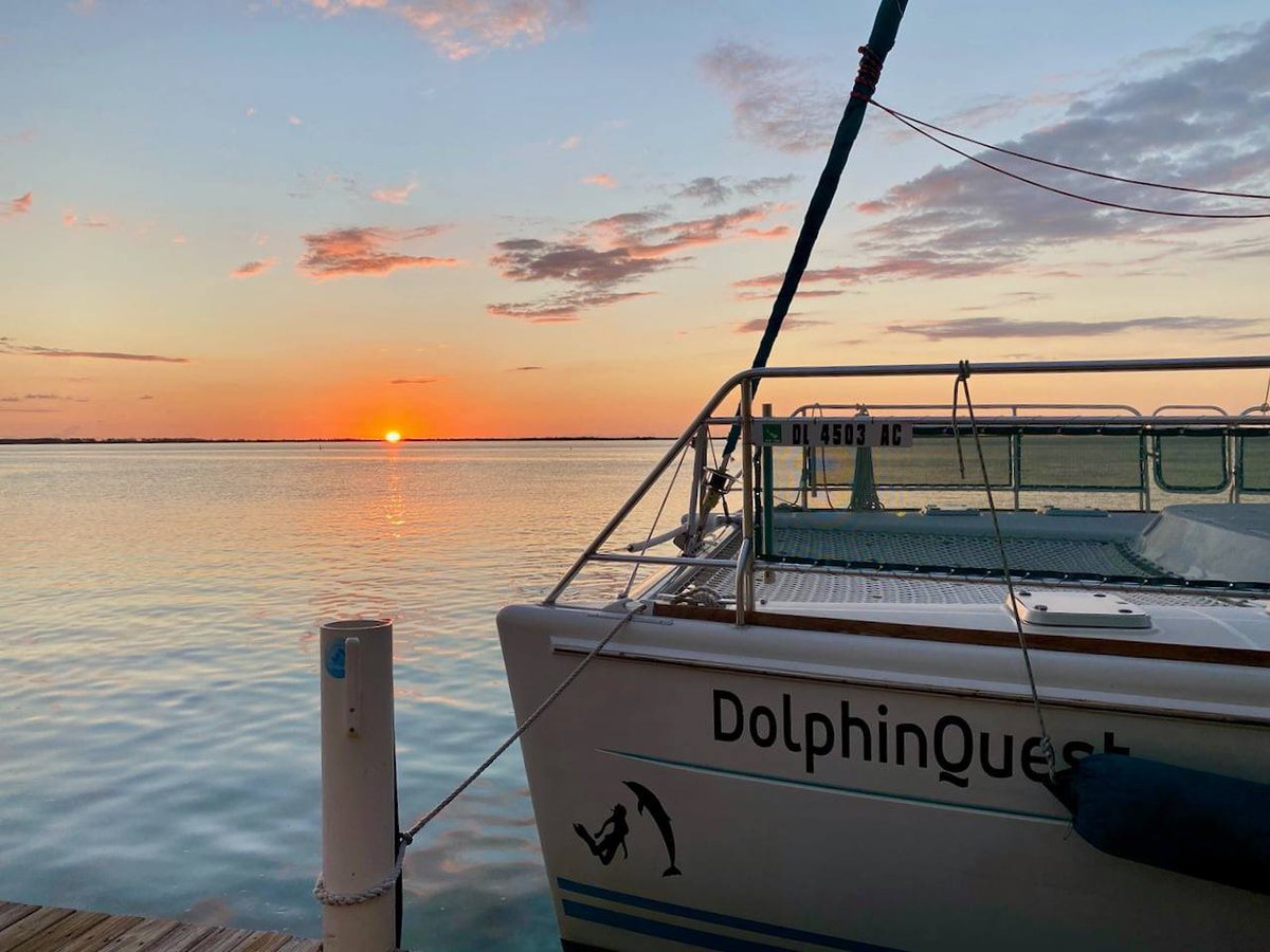 WildQuestBimini's tweet photo. A beautiful sunrise as we left the island to cross the #GulfStream taking our boat DolphinQuest to her winter season home 🌅❤️👍
Bye for now #Bimini!
#wildquest #Bahamas #sunrise https://t.co/6kzDm8Klei