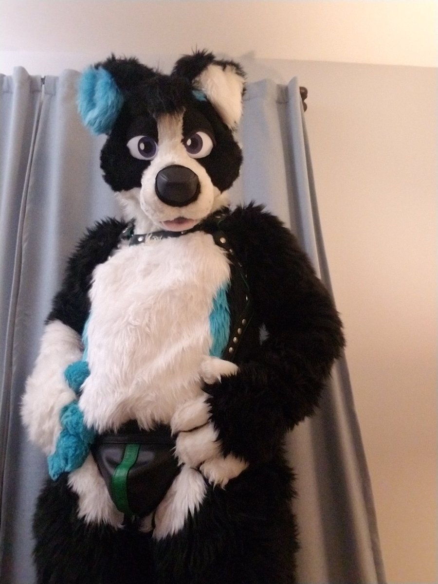 Ember Collie tweet media