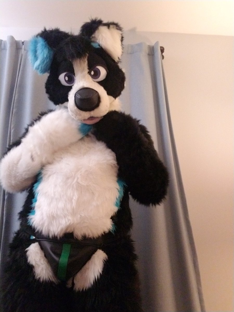 Ember Collie tweet media