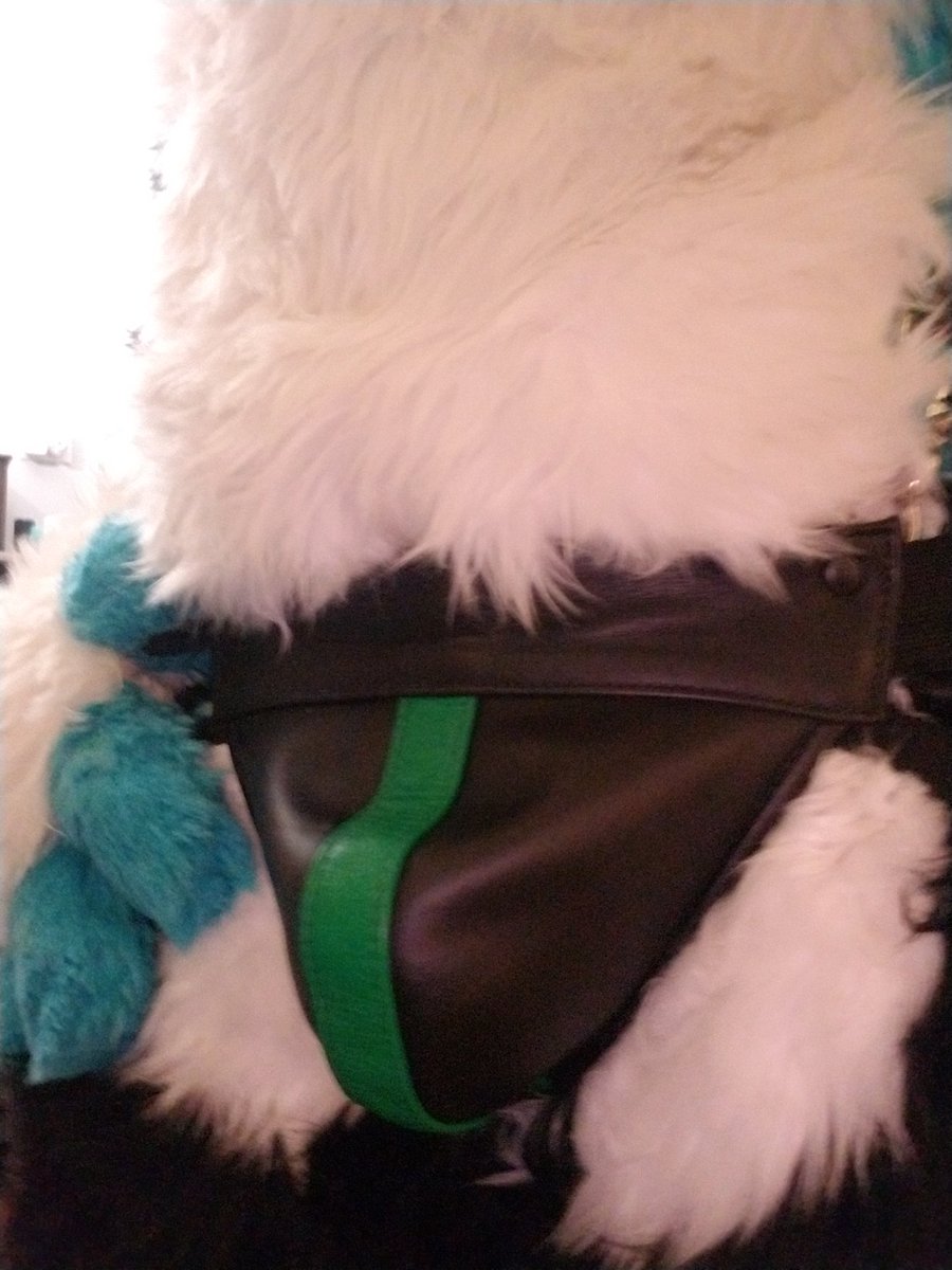 Ember Collie tweet media