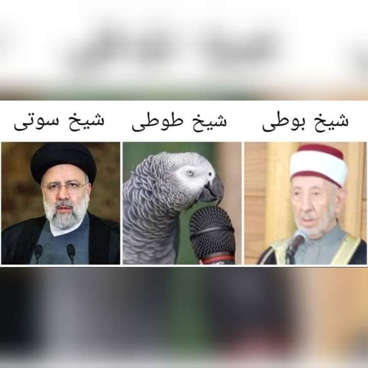 negah61's tweet photo. نظر شما چیه؟😂😂 https://t.co/Ps9ZurKj0n