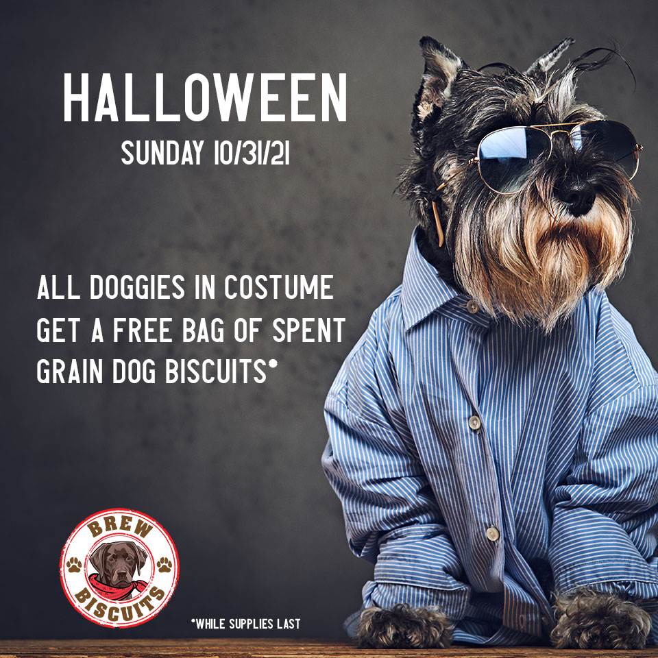 exhibitAbrewing's tweet photo. Halloween, bring your dog in costume to the beer garden and get a free bag of spent grain treats! https://t.co/FKgw9g634Y