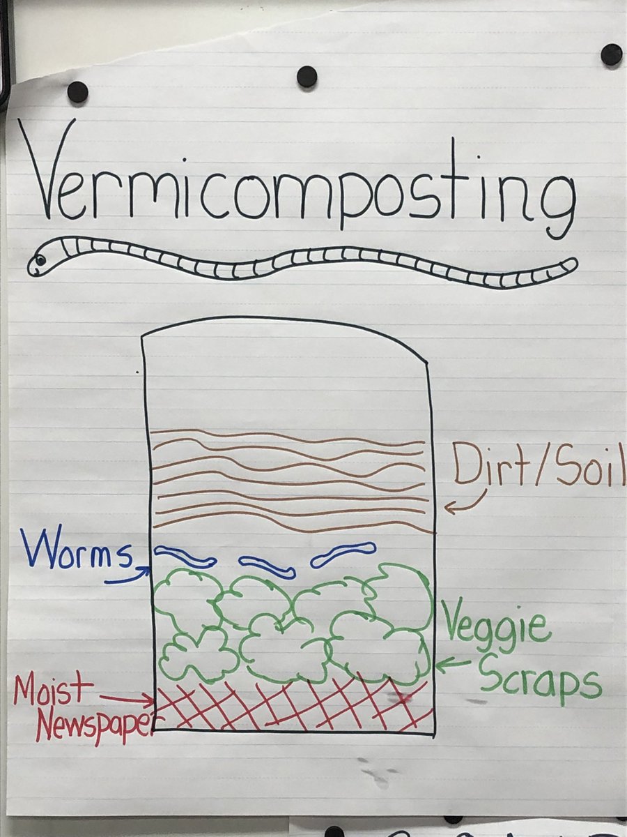 KiserClass's tweet image. After learning about worms and composting, scientists created their own #Vermicomposters to observe over the coming months. #ObservingCHANGE #WeAreMidview #LearnByDoing #STEM