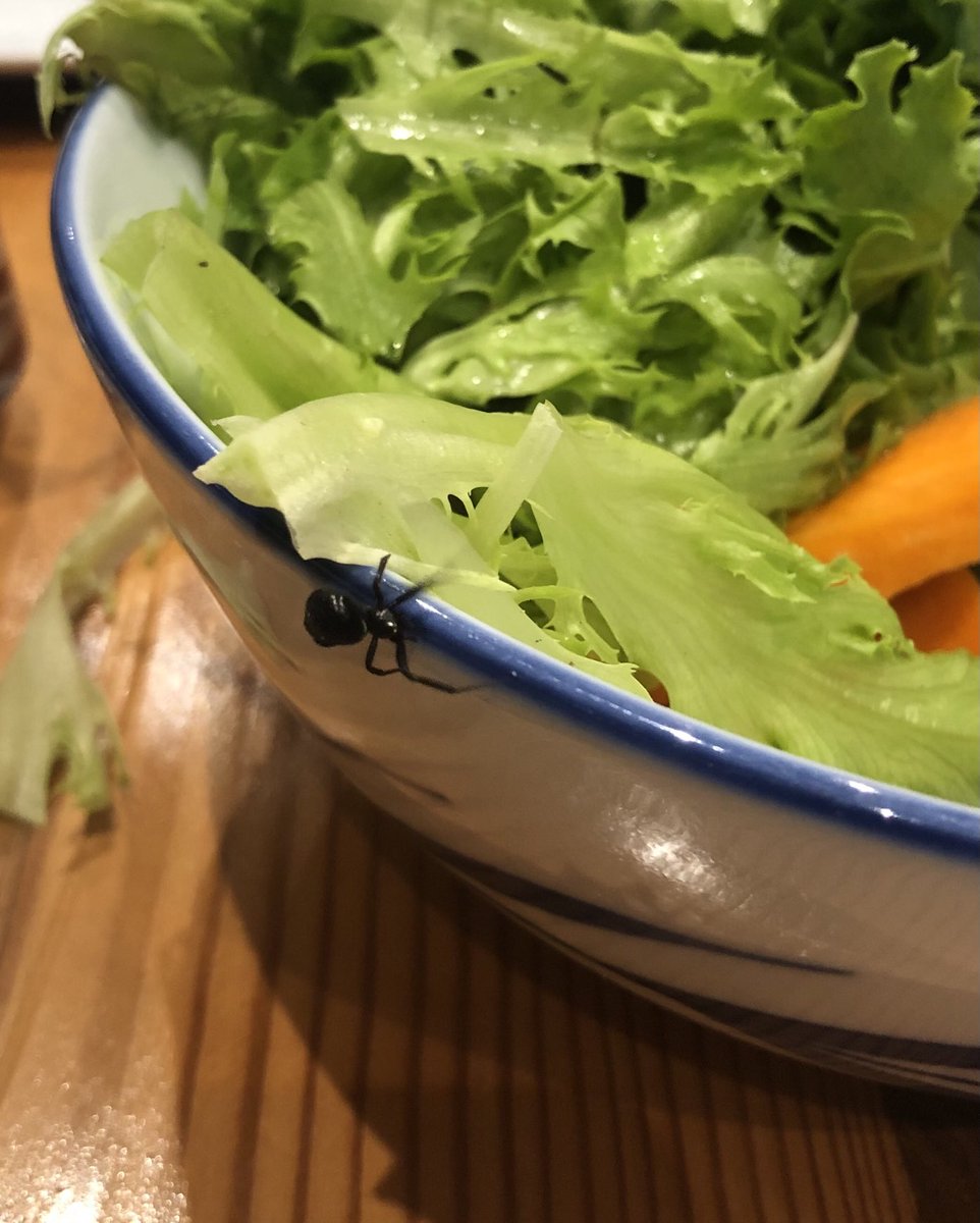arjundevamar's tweet image. Salad surprise for dinner tonight!  #blackbutton #spider