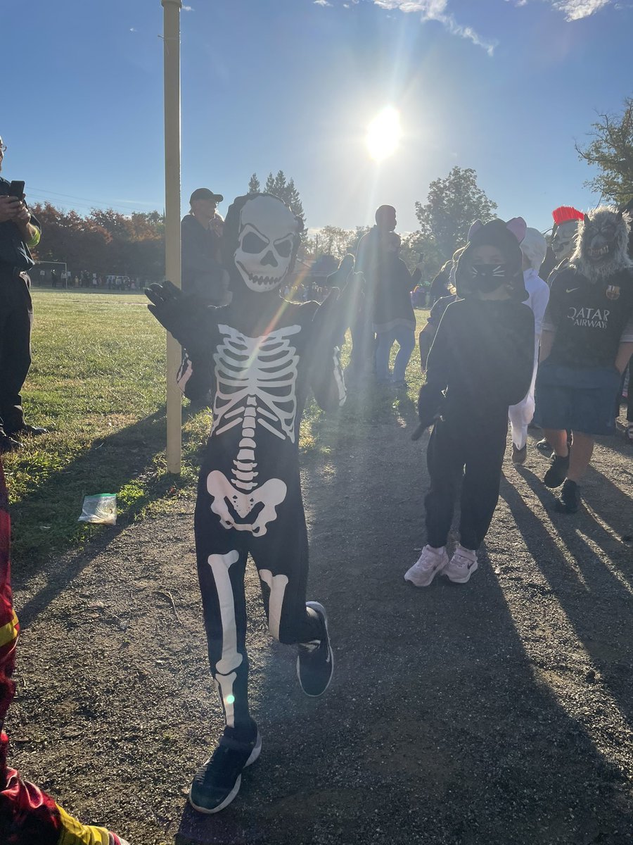 svanhout's tweet photo. @jessclarendon Not the best lighting this morning but that skeleton is a cutie! https://t.co/LBWHxxlRIZ
