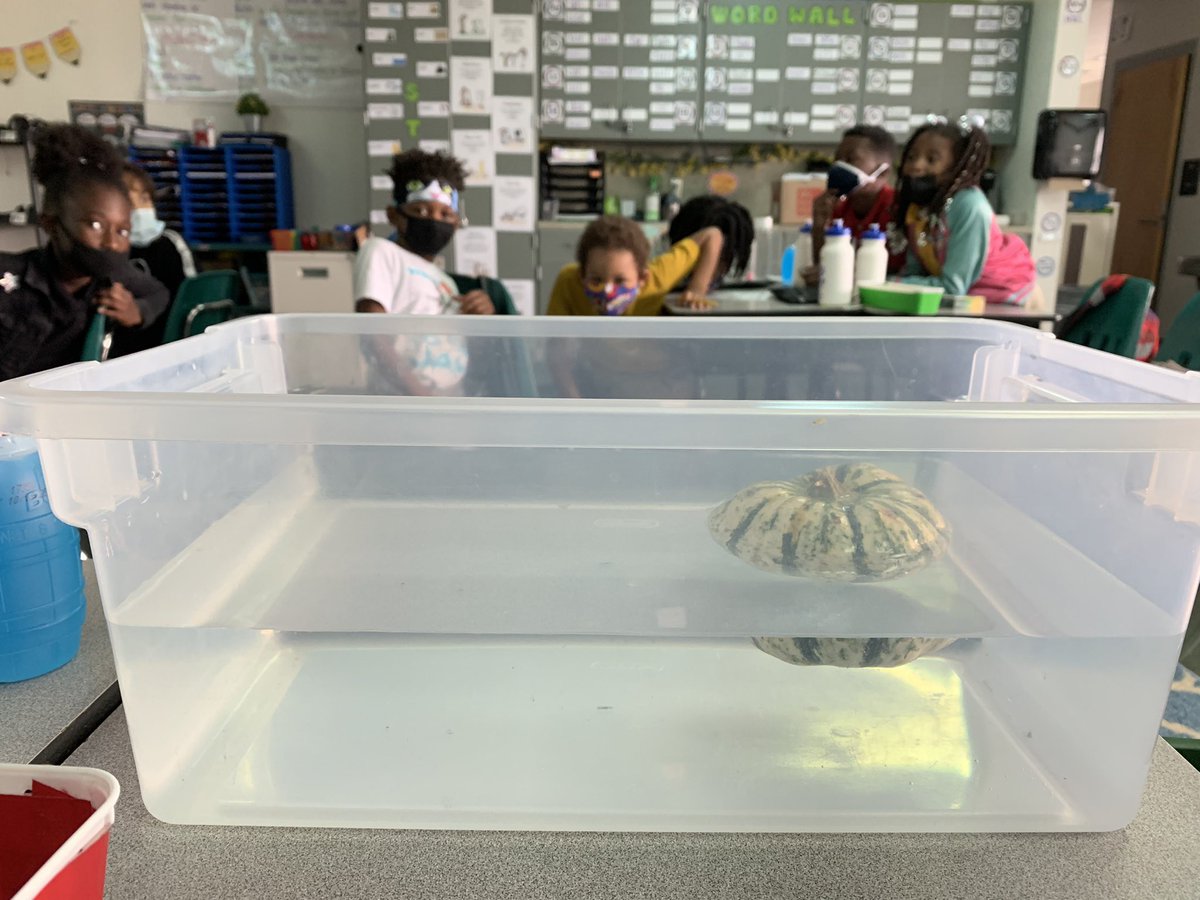 One of my favorite activities! We explored properties of a pumpkin, inside and out! The students are always so shocked that pumpkins float! So many told me they’ve never felt the inside of a pumpkin, I love giving them new experiences 🎃 <a href="/JustES_STEM/">Riverwalk STEM Academy @ Just Elementary School</a> <a href="/WeAreHAEST/">HAEST</a> <a href="/HCPSElemScience/">HCPSElemScience</a>