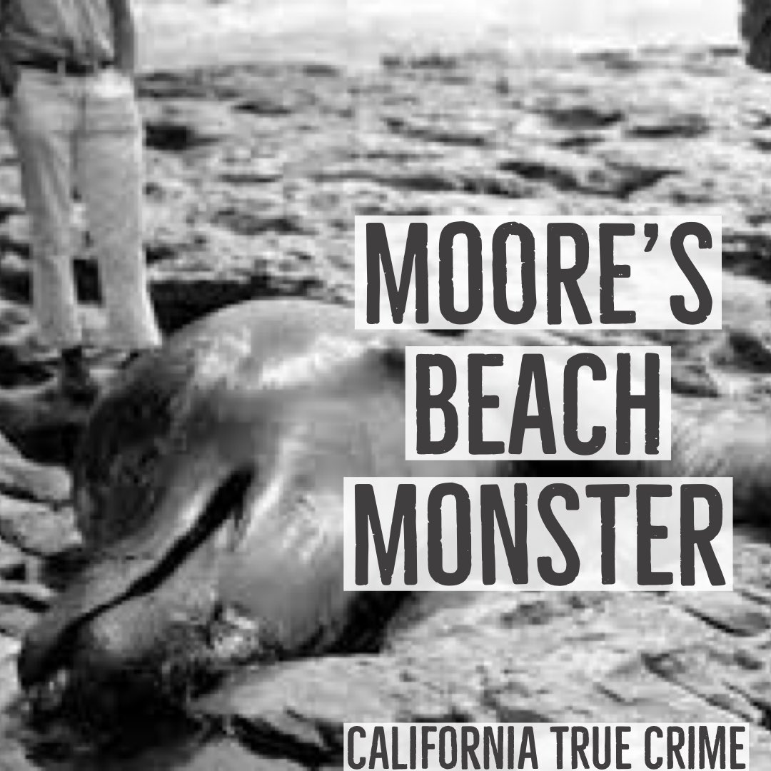 In our #Halloween episode we discuss a “monster” the Pacific Ocean brought to Santa Cruz shores in 1925. Mysteries, science, children pageants &amp; speakeasies all play a role! spreaker.com/user/11851014/… #calitruecrime #crytids #whale #california #fun #misinformation #globsters