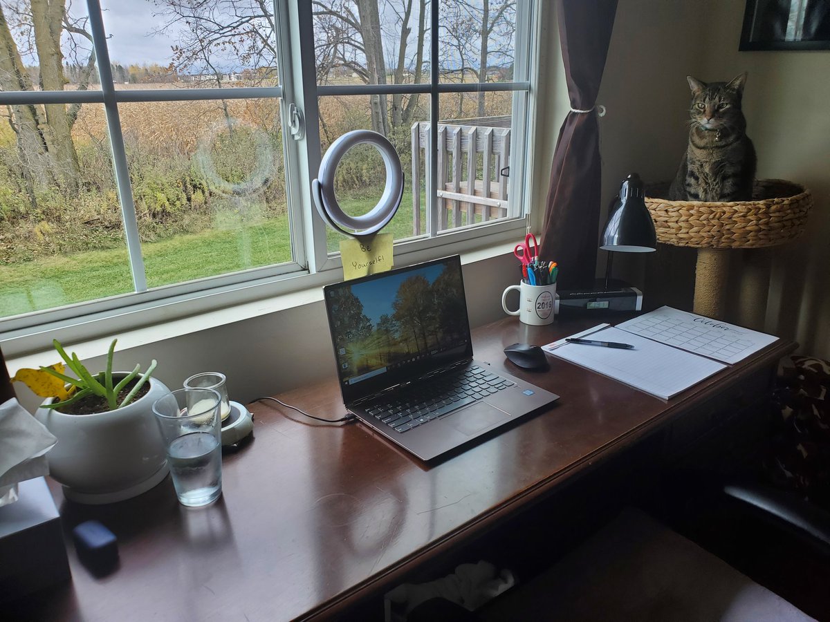MeganRoedel's tweet photo. The home office and desk space are ready for interview season, including a spot for my office manager, Jasper (in honor of National Cat Day). Looking forward to meeting everyone on the interview trail! https://t.co/3Zz6k2CyM5