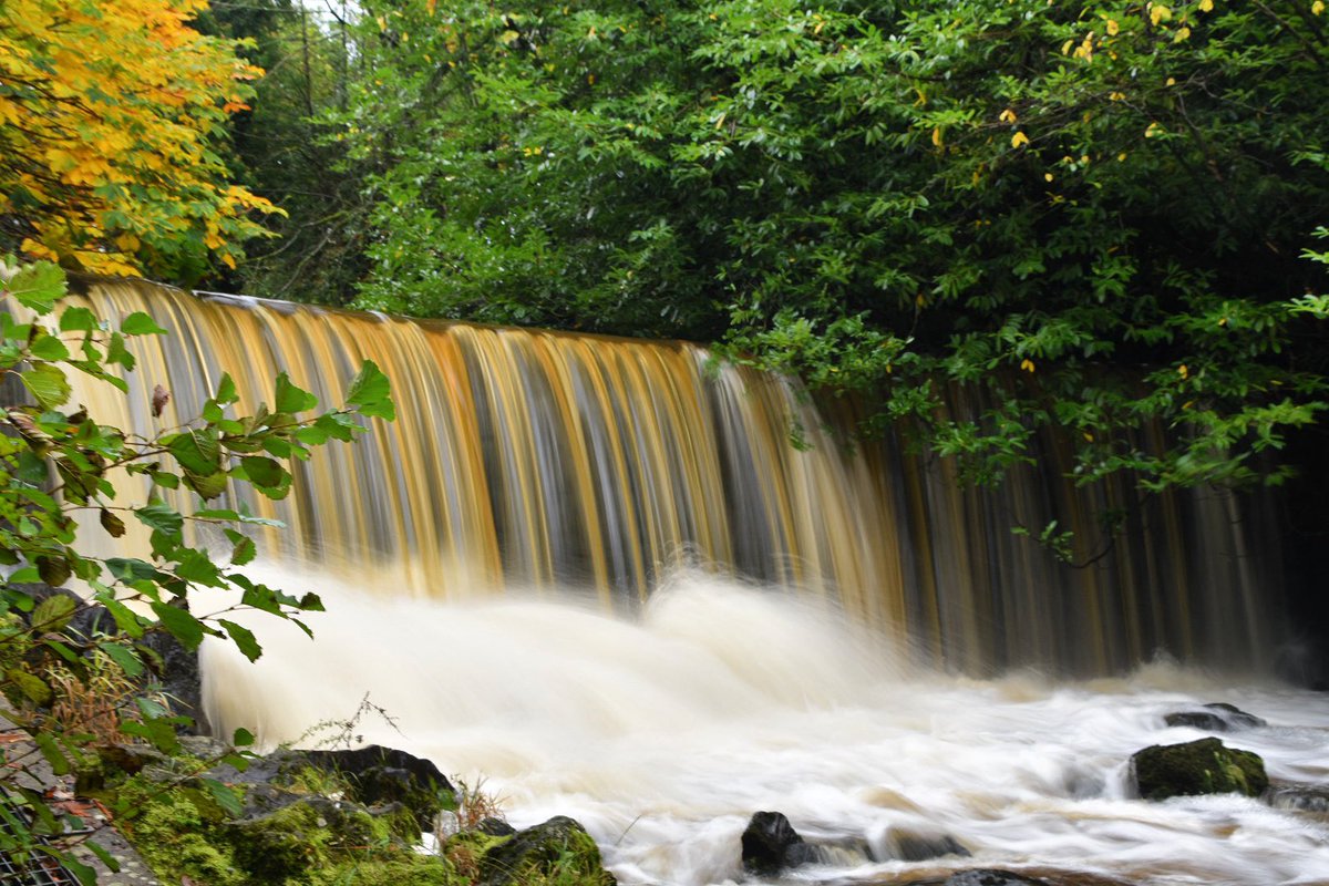 ALISONKEYS4's tweet photo. 🍂#crumlinglen #AutumnFalls #goldenmoments #countyantrim @WeatherCee 🍃 @LoveBallymena @Love_Antrim @angie_weather @bbcniweather @VisitBelfast 🍁 https://t.co/JityjYv5qc
