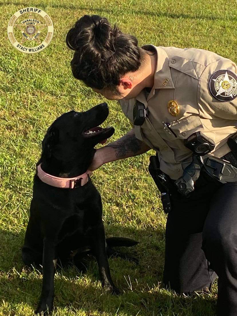 HCSO_K9Tora's tweet photo. Introducing our future K-9 unit, #K9tora and her handler Deputy Jordan Barnett.
#FutureK9 #InTraining #ThatsAGoodGirl #dogsoftwitter https://t.co/lZ8T2d0M3Y