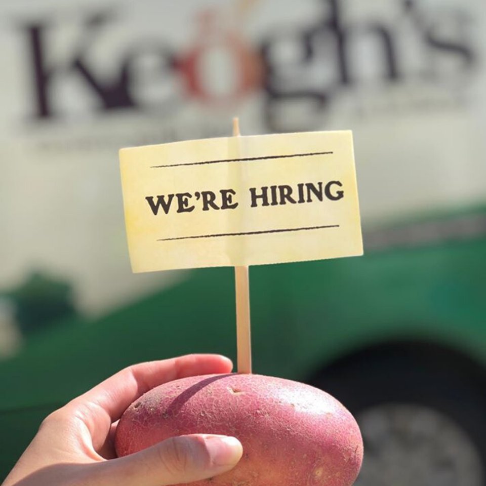 Keoghsfarm's tweet photo. We're HIRING! ๐๐ฅ Keoghโs Crisps and Keoghโs Farm are recruiting for a number of Dispatch, Production and Machinery Operative roles ๐ For more information, visit the link below #JoinOurTeam #CropToCrisp https://t.co/DAbljjMxZH https://t.co/x6vSZe4BvG