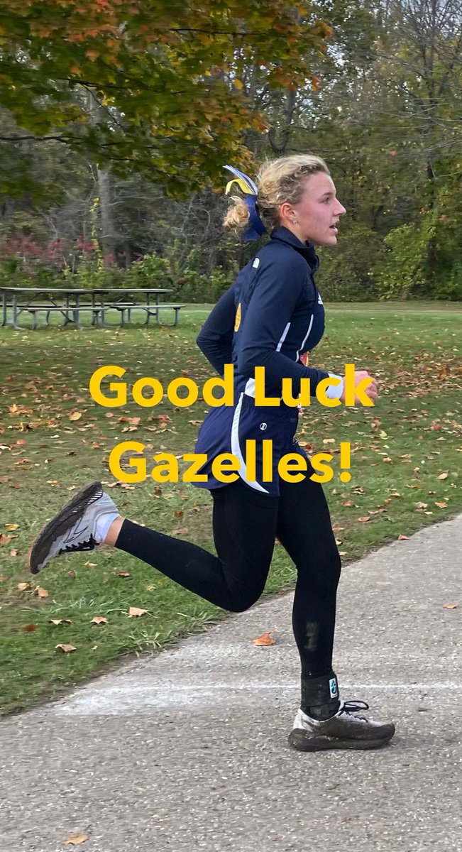 US_ASHsports's tweet photo. The Cross Country team travels to Grosse Pointe South to compete in @MHSAA Regionals! #USGazelles #ASHCC #ASHBoosterClub https://t.co/wRDRybpydj