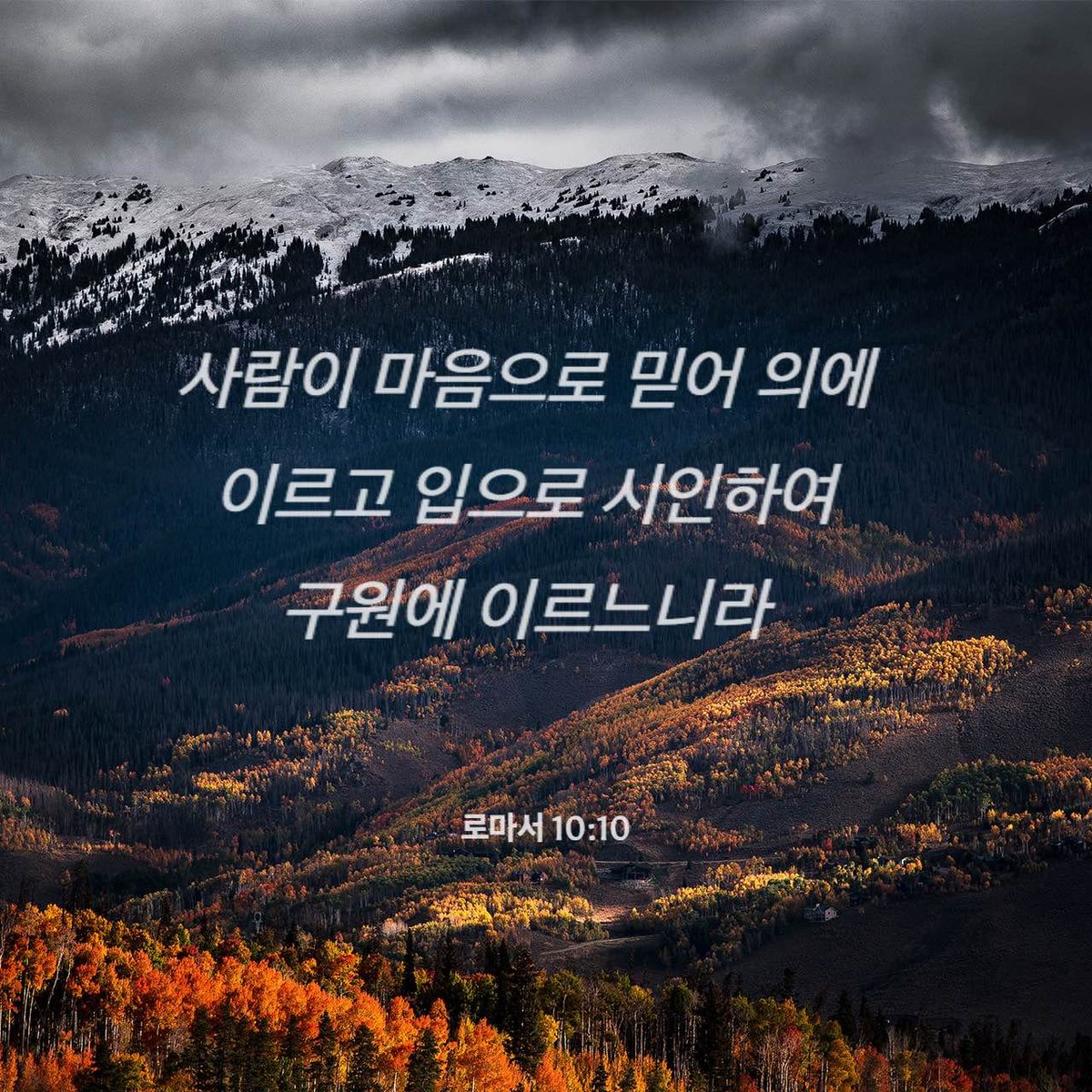 bellpie1 tweet picture