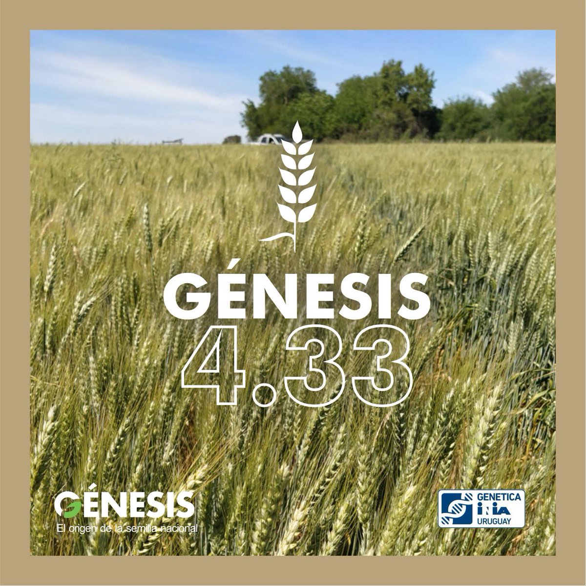 Semillas Génesis tweet media