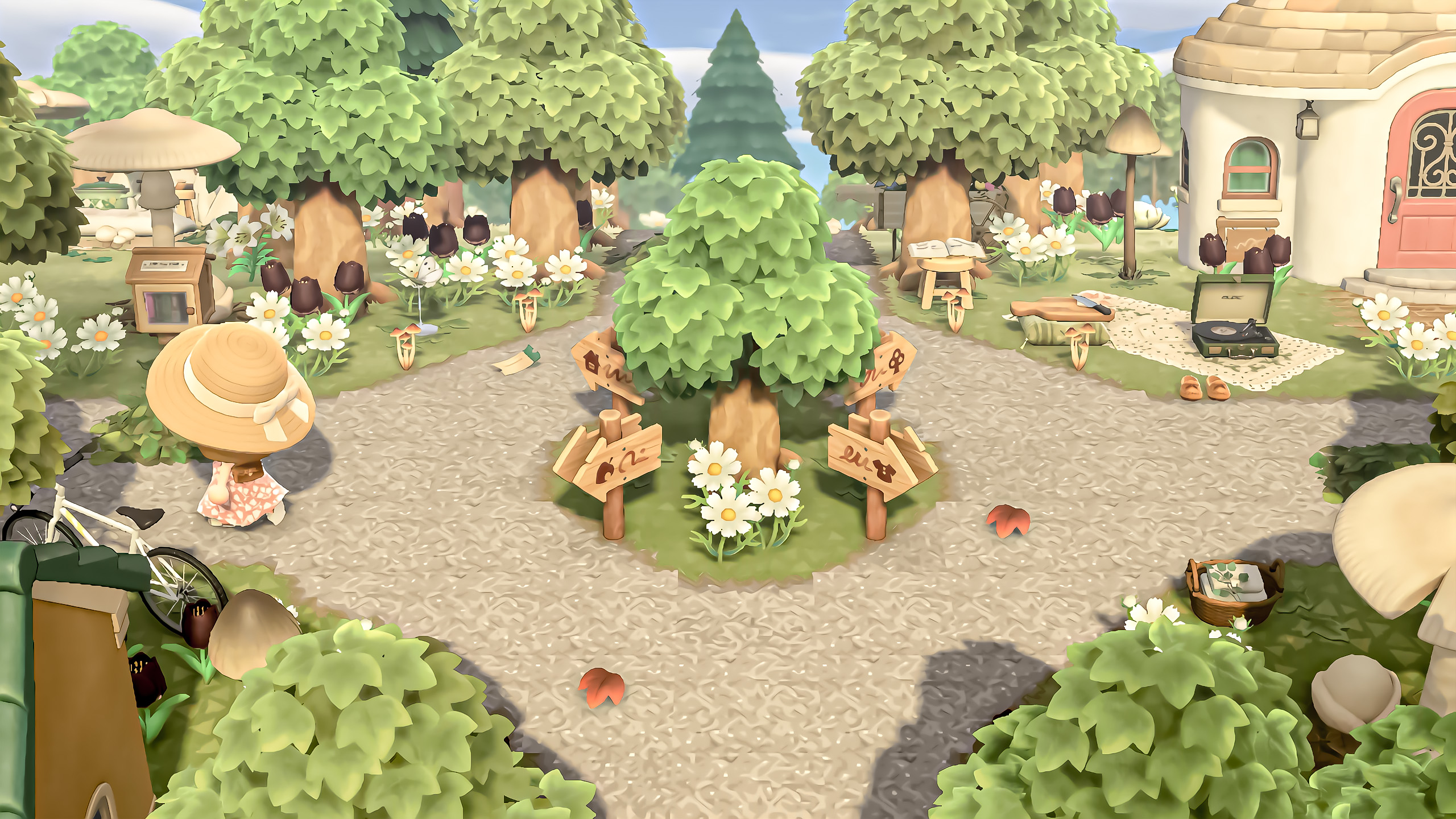 dvsfbdg image of zzz shino test