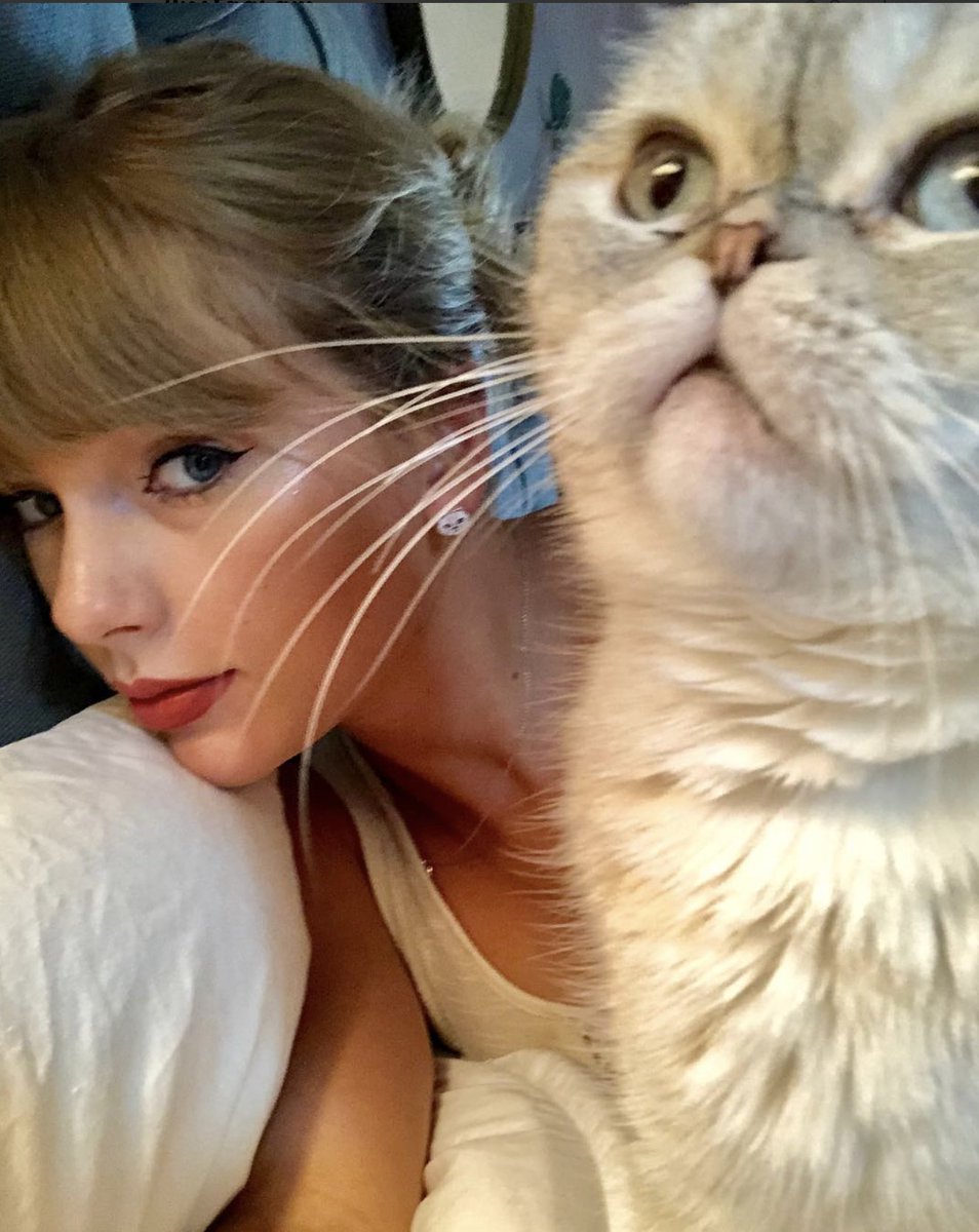 iHeartRadio's tweet photo. Did someone say #NationalCatDay? 👀 

Here's @taylorswift13 being the cutest cat mom ever: a thread 🐈❤️ https://t.co/2bFBIWr2vl