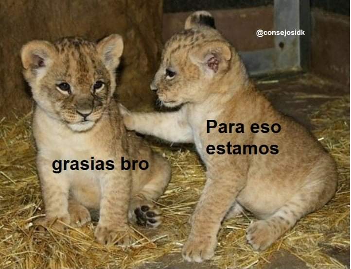 ErickOrvaG's tweet photo. Pov: Ves a dos amigos apoyándose en el trabajo y en la comunidad.
#Polaktuar https://t.co/oBcug7pRQV