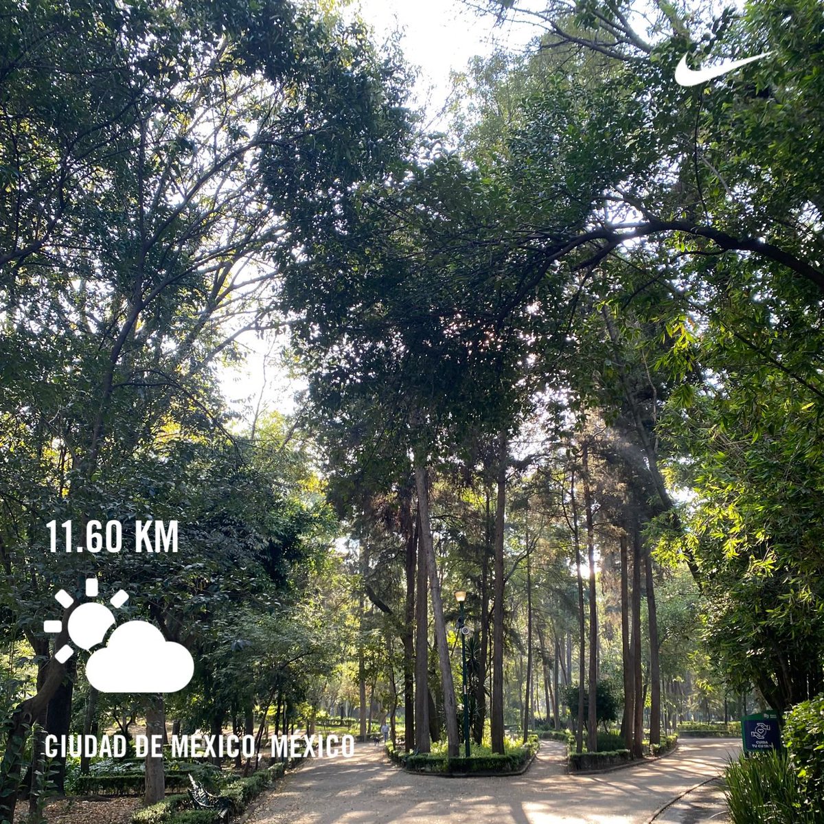 PiLiAlonso's tweet photo. Sus 11.6k para el alma🤍 #fridayitis #😍 https://t.co/z39JZR0OEB