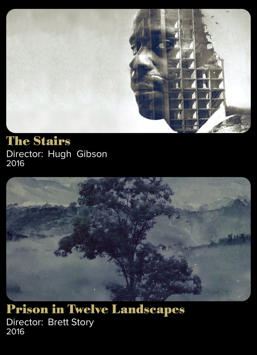 TheStairsDoc's tweet photo. The Stairs is on @Fandor with other great docs, like @theprisonin12 https://t.co/A14HXvq6RI