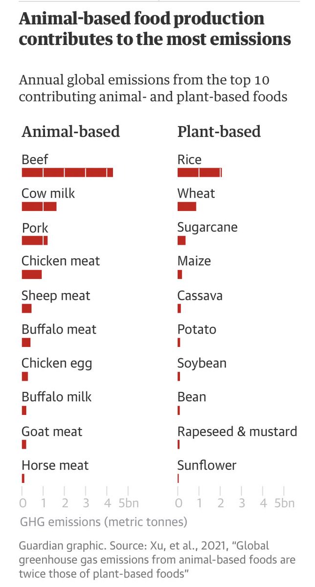 Ban on firecrackers during Deepavali is the classic ‘take the easiest decision’ and be seen as doing...