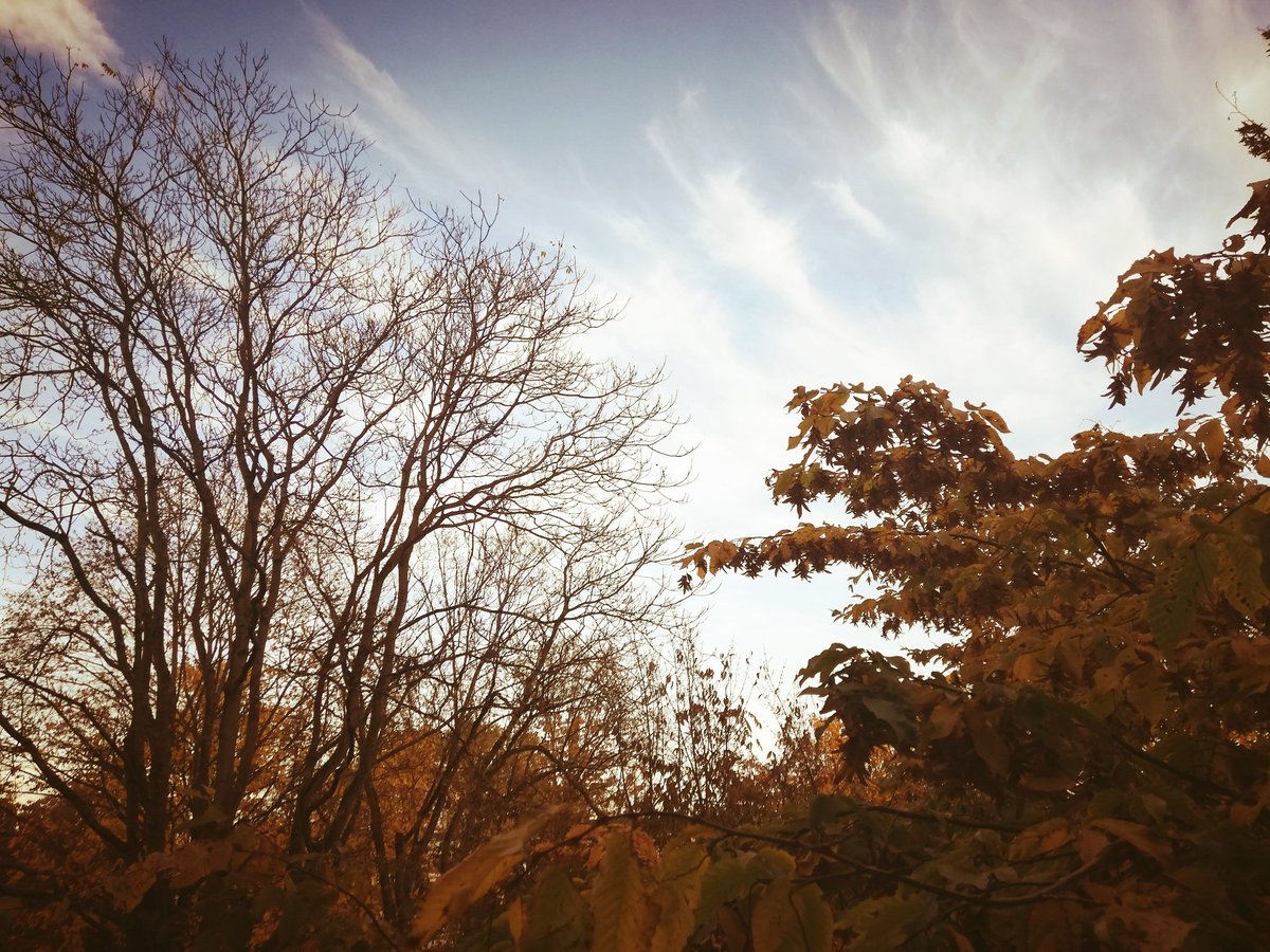 Loki (@deinemutti7) on Twitter photo 