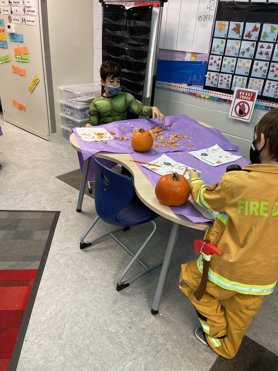 ms_hornn's tweet photo. Exploring pumpkins for science class today with @ms_huyghe’s class! We made predictions about how many seeds were inside, opened them up, counted the seeds, and decorated them! #HALLOWEEN #onlyWB #dohertyfam https://t.co/Gv4EIlR0Kr