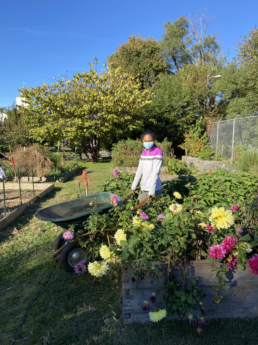 CentralLouisvi2's tweet photo. We have had so much fun through our partnership with @smoketownwell learning about the benefits or urban agriculture and composting! We look forward to continuing this work with our youth. #healthyliving #positiveyouthdevelopment https://t.co/iFy7Cr1Erp