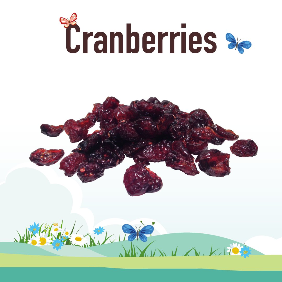 De Noord-Amerikaanse Indianen gebruikten cranberries om pijlwonden te behandelen, blaasontstekingen te voorkomen en om witte kleding rood-paars te kleuren. Tegenwoordig schijnt het zo te zijn dat de meeste mensen ze liever gewoon opeten en we geven ze geen ongelijk!