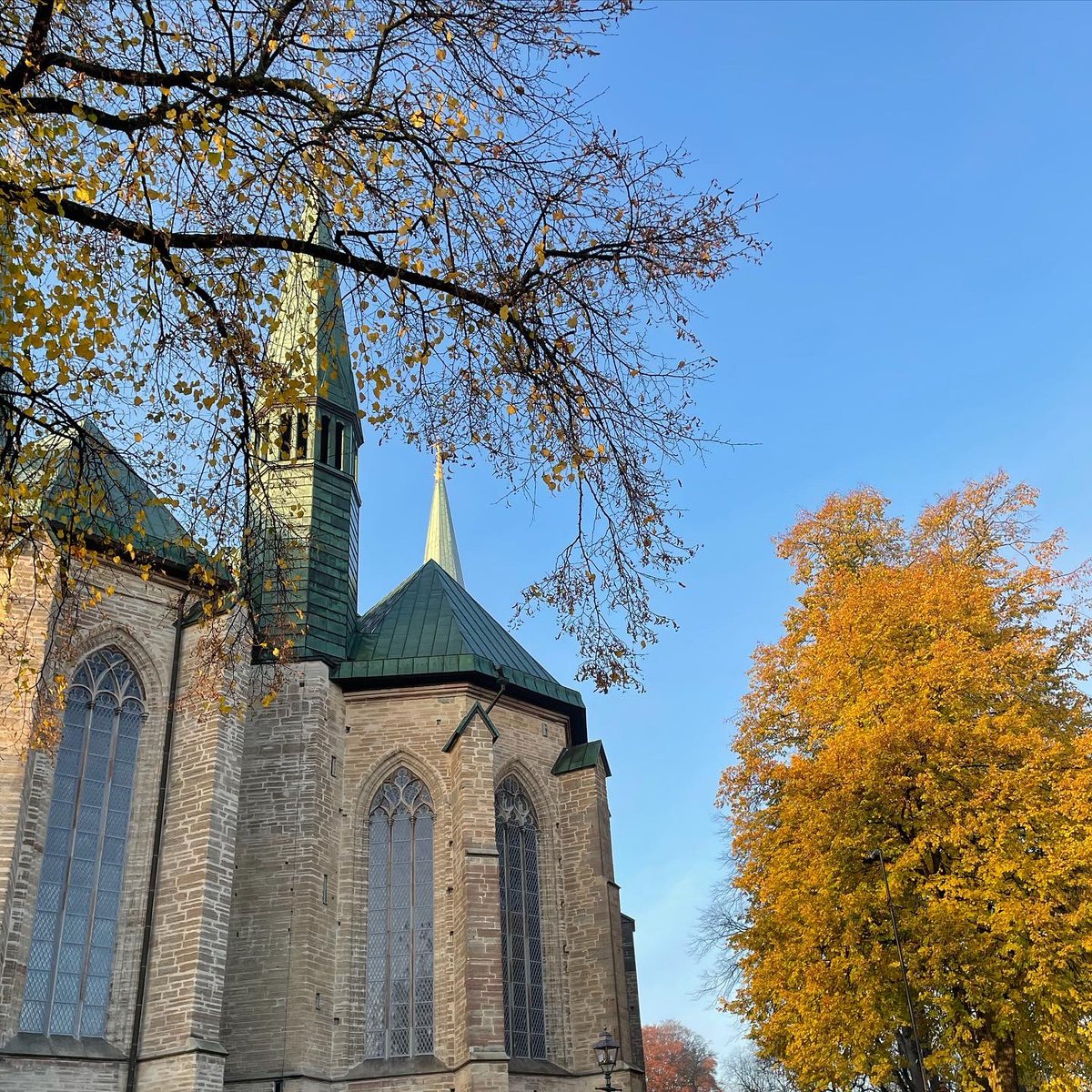 Joel Halldorf tweet media