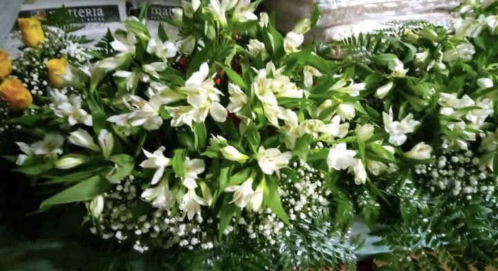 💐 | Aún estás a tiempo de encargar tus flores para el Día de Todos los Santos.

🌼 Gran variedad en flor cortada y también opciones múltiples en FLOR ARTIFICIAL.

☎️ 633 60 85 26
📧  jardineriagrogarden@gmail.com