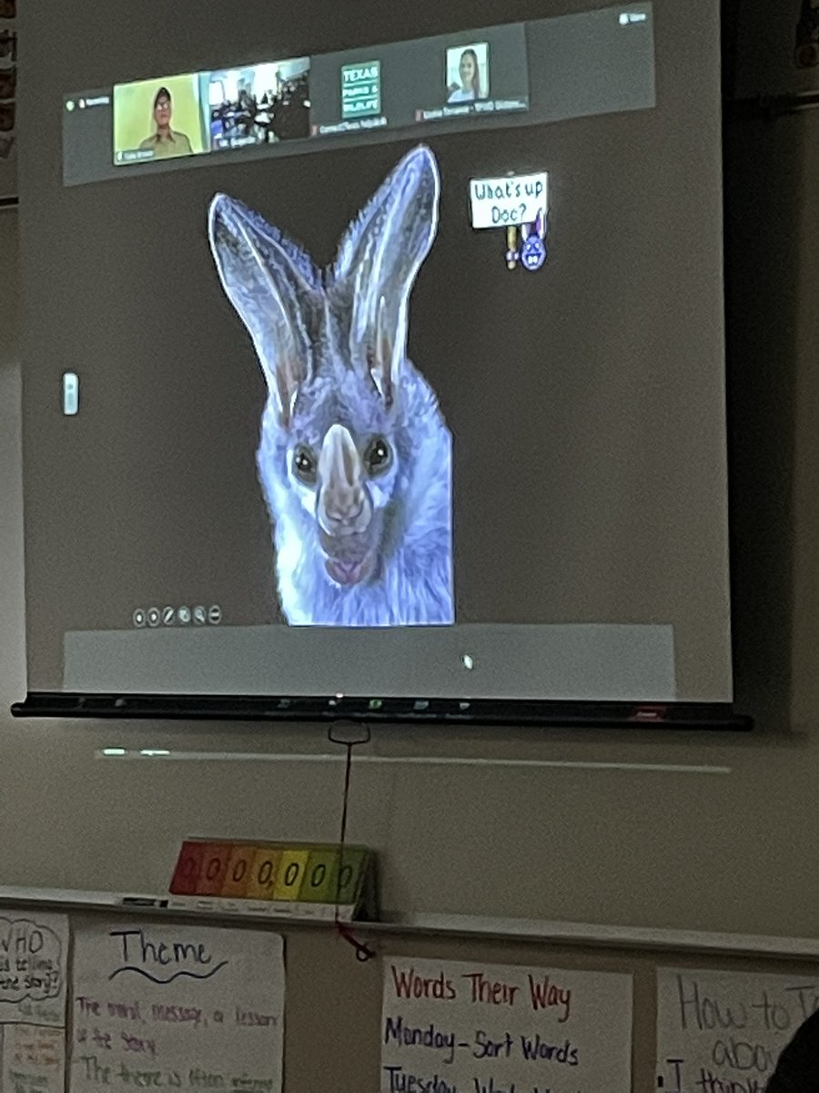 Asavsam's tweet photo. @NISDDriggers 4th grade is enjoying a virtual field trip from @ESCRegion11 about bats.  The kids loved learning about the unique characteristics, adaptations, and habitats of bats and the names they were given.  @NISDScience https://t.co/fpU2KTEshQ