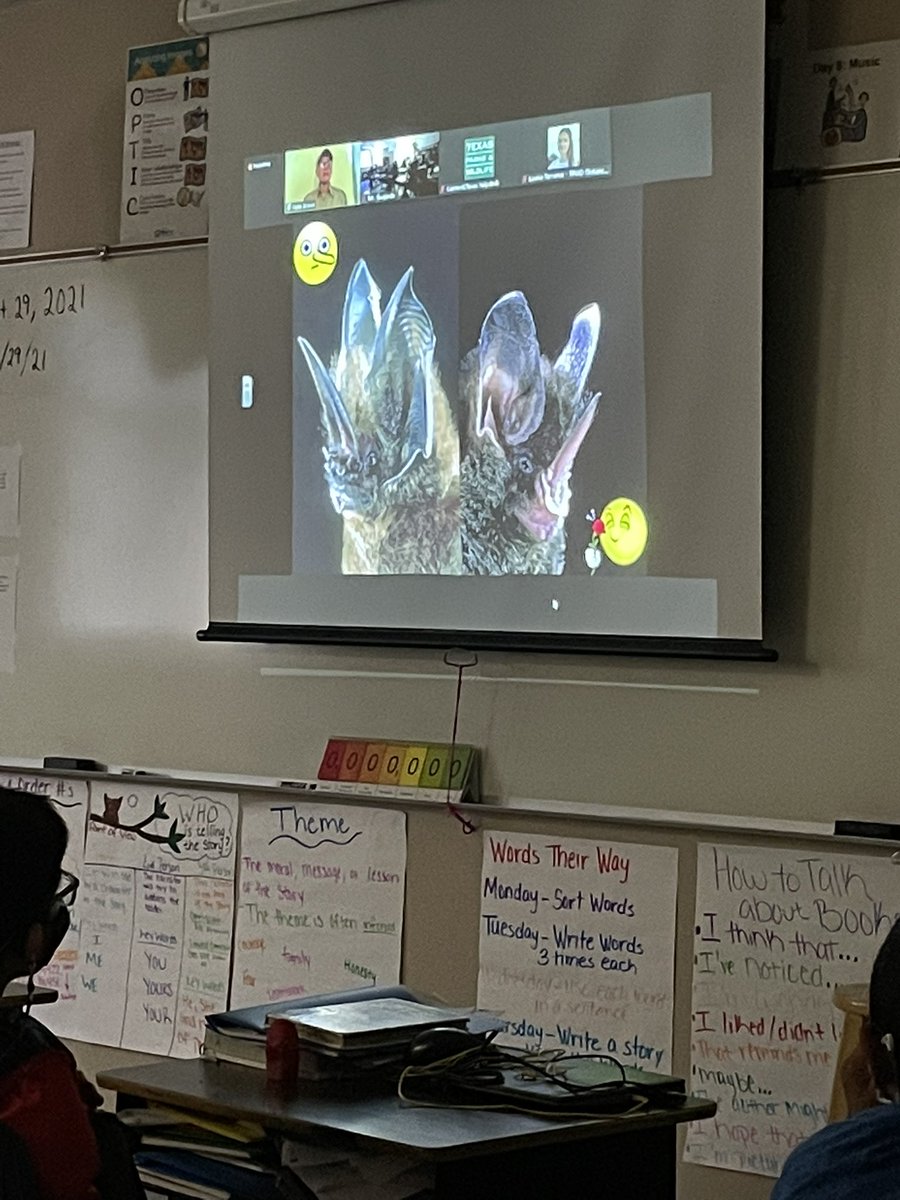 Asavsam's tweet photo. @NISDDriggers 4th grade is enjoying a virtual field trip from @ESCRegion11 about bats.  The kids loved learning about the unique characteristics, adaptations, and habitats of bats and the names they were given.  @NISDScience https://t.co/fpU2KTEshQ