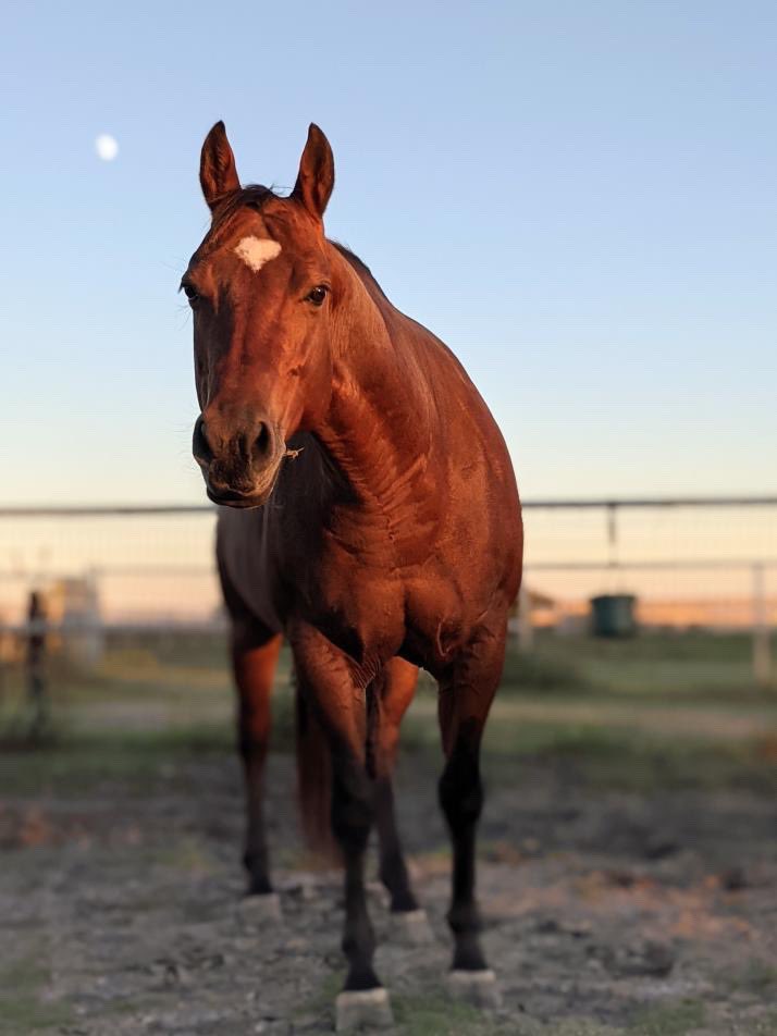 Pocket ❤️

📸: Macayla Hopkins