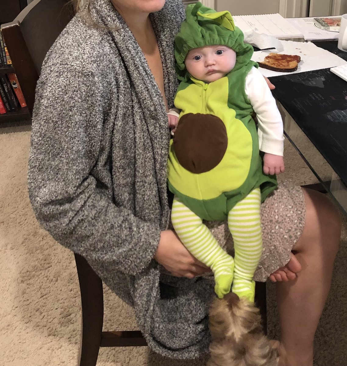 xkinxxx's tweet photo. look at my new cousin in this avocado costume https://t.co/1KJeb8wlpO