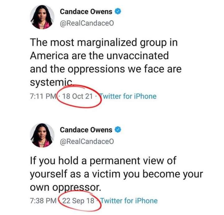 Poli Alert ⚖️ tweet media