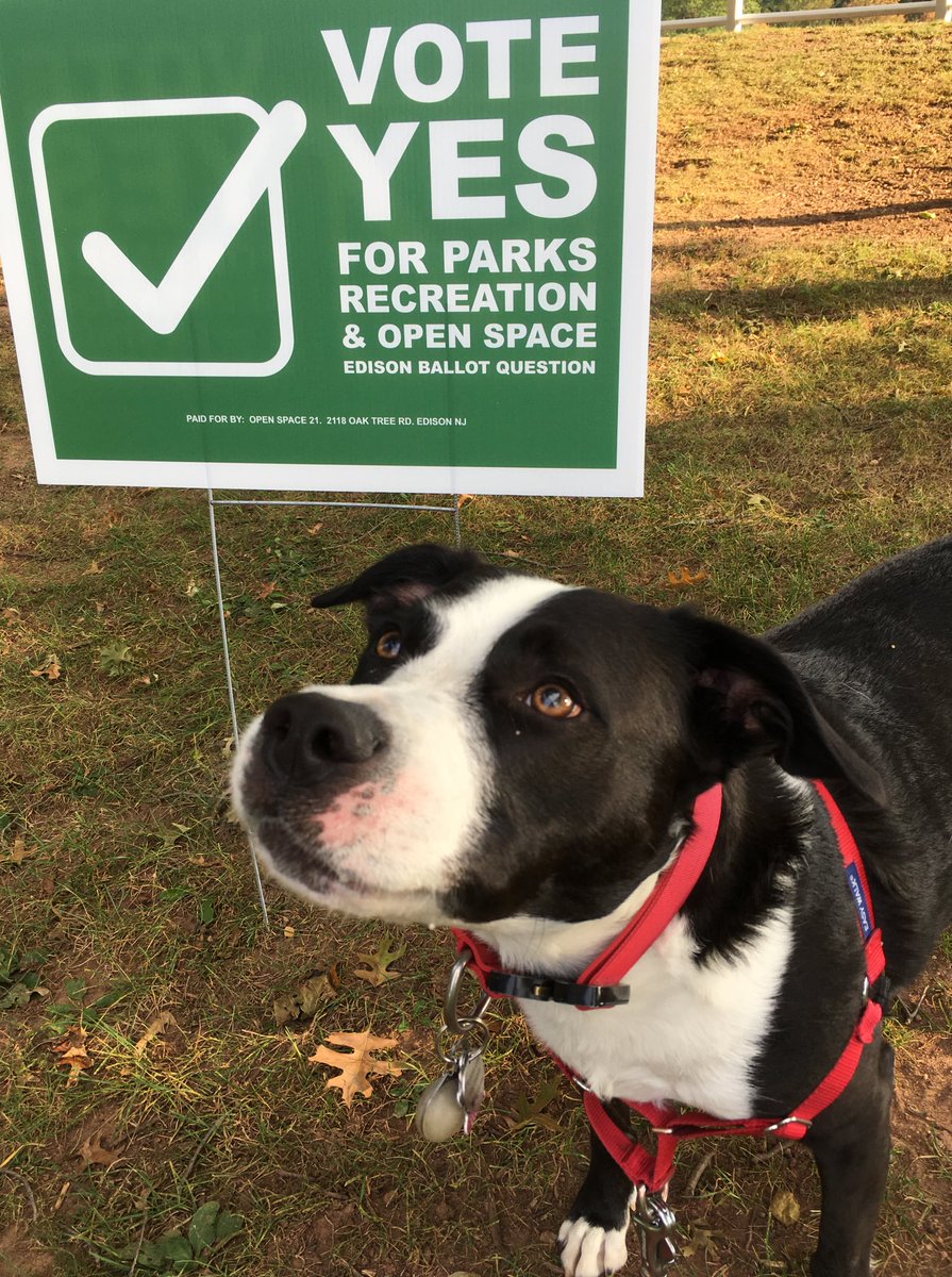 EdisonOpenSpace's tweet image. Our supporter from the Edison Metuchen Dog Park reminds you to get your tail out and vote! Drop your ballot in a mail-in box, vote early in person at the Edison Senior Center, or vote on 11/2 at your local polling place.