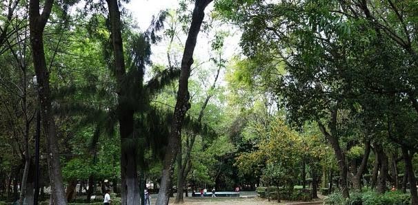 Fernando Rubio tweet media