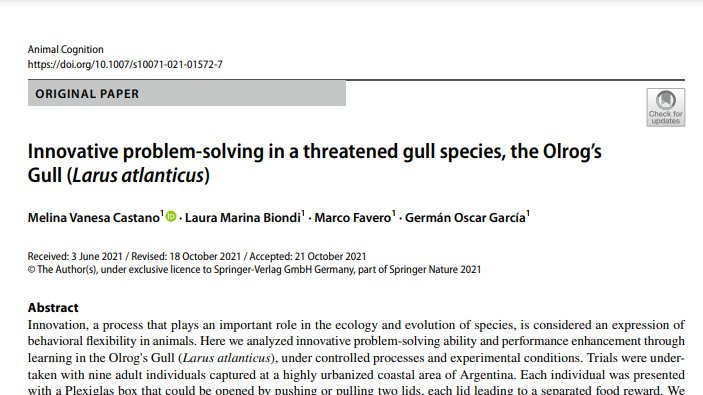 📢Nuevo manuscrito sobre la capacidad innovadora de resolución de problemas de la Gaviota de Olrog (Larus atlanticus).
🔗link.springer.com/article/10.100… 
 #Gull #AnimalCognition 
<a href="/SpringerANCO/">Animal Cognition</a> 
<a href="/melicast93/">Melina Castano</a> <a href="/Gerenchapa/">Germán García</a>
