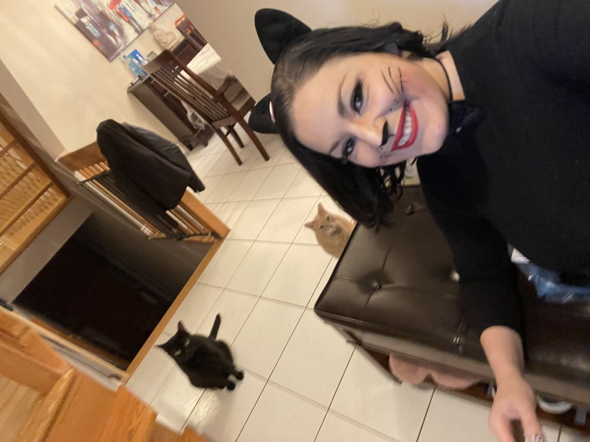 SandraL_TD's tweet photo. My cats seems to approve my halloween costume, not sure why 😂 #saveblackcats 🐈‍⬛🐱

https://t.co/D7hAj7VliC

https://t.co/zjpKL067ys https://t.co/lJbChSyhpF