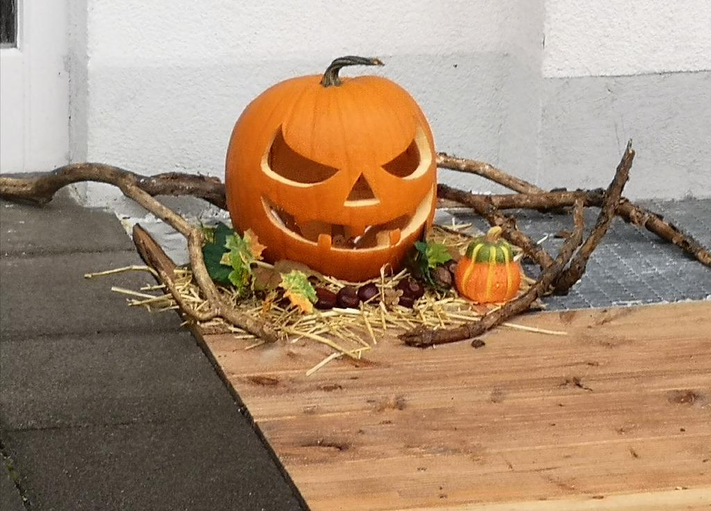 LFSBayern's tweet photo. Erst kommt #Halloween am 31.10., danach am 1.11.2021, am Feiertag #Allerheiligen, ist die Landesfachstelle - wie jedes Jahr - geschlossen. https://t.co/1QeVQtWFoN