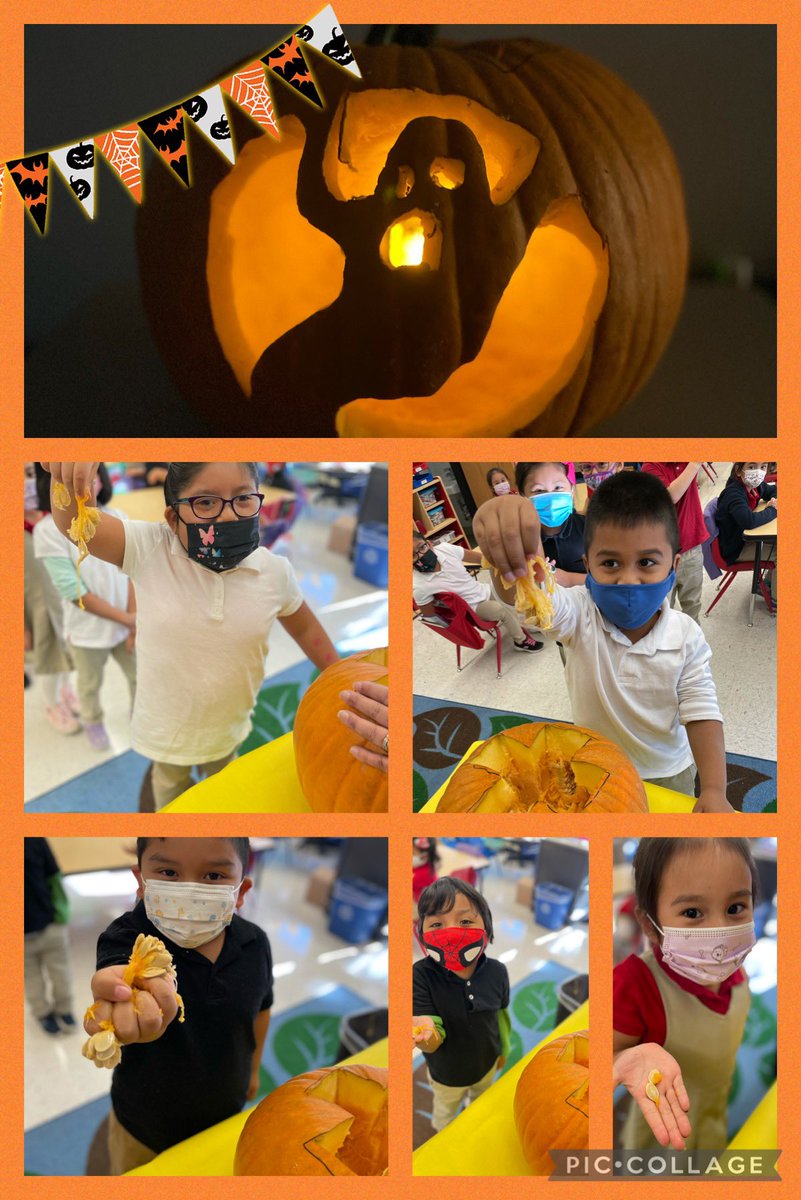 Yesterdays pumpkin investigation was so much fun in room 104! Thank you <a href="/pmcollins04/">Paula Collins</a> for carving us the spookiest Jack-o-lantern! 🎃👻<a href="/MargoliesAmanda/">Miss Amanda Margolies</a> <a href="/rbpsEAGLES/">Red Bank Primary</a> #RBBisBIA
