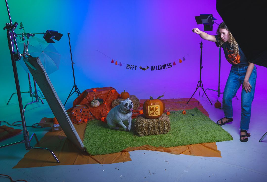 We sense some purr-anormal activity at Mainstage Chicago! Check out our studio space and reserve it for your next shoot: bit.ly/2Xp6TT5 
From all of us at Mainstream, have a happy and safe Halloween weekend!