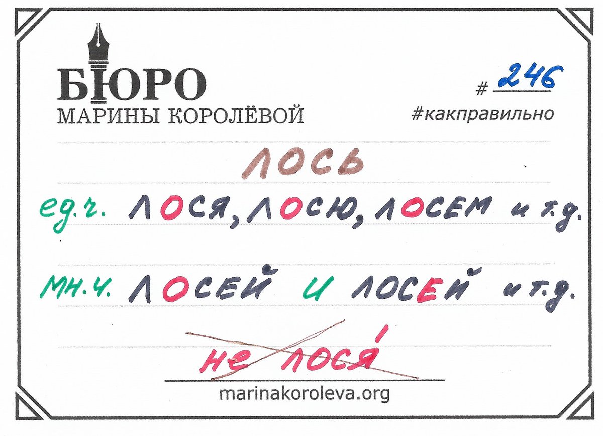 Марина Королева tweet media