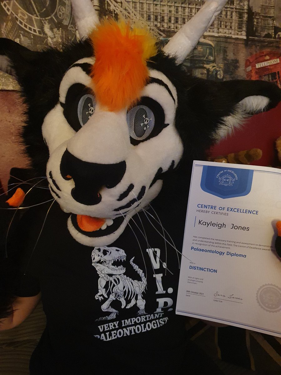 CMoondrop's tweet photo. After months of hard work and studying I passed my palaeontology course with flying colours thanks to #thecentreofexcellence 

So have a proud #FursuitFriday picture of me with my certificates and my V.I.P (very important palaeontologist) tshirt.

🧵🪡 @CraftyVulpine https://t.co/H7yXv2SQaL